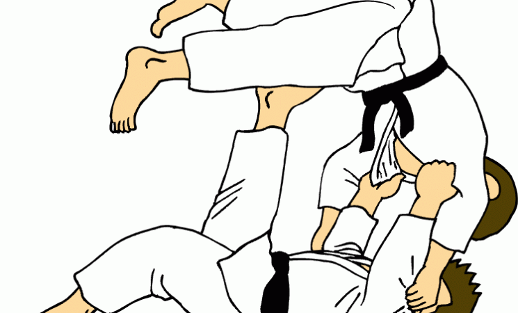 JUDOKAS DELLE : SUBVENTION COMPLEMENTAIRE